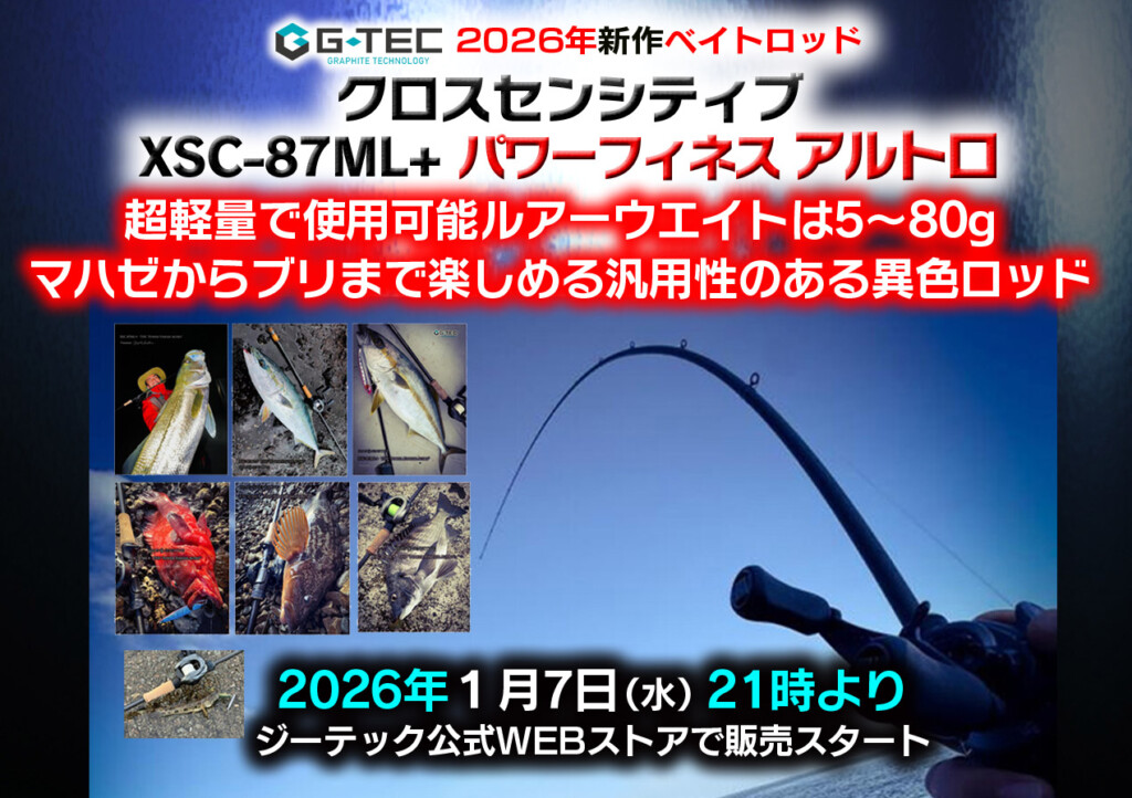 パーフェクトペテンシー 2枚 追跡可能 真気楼と誠偽感の決断【SR
