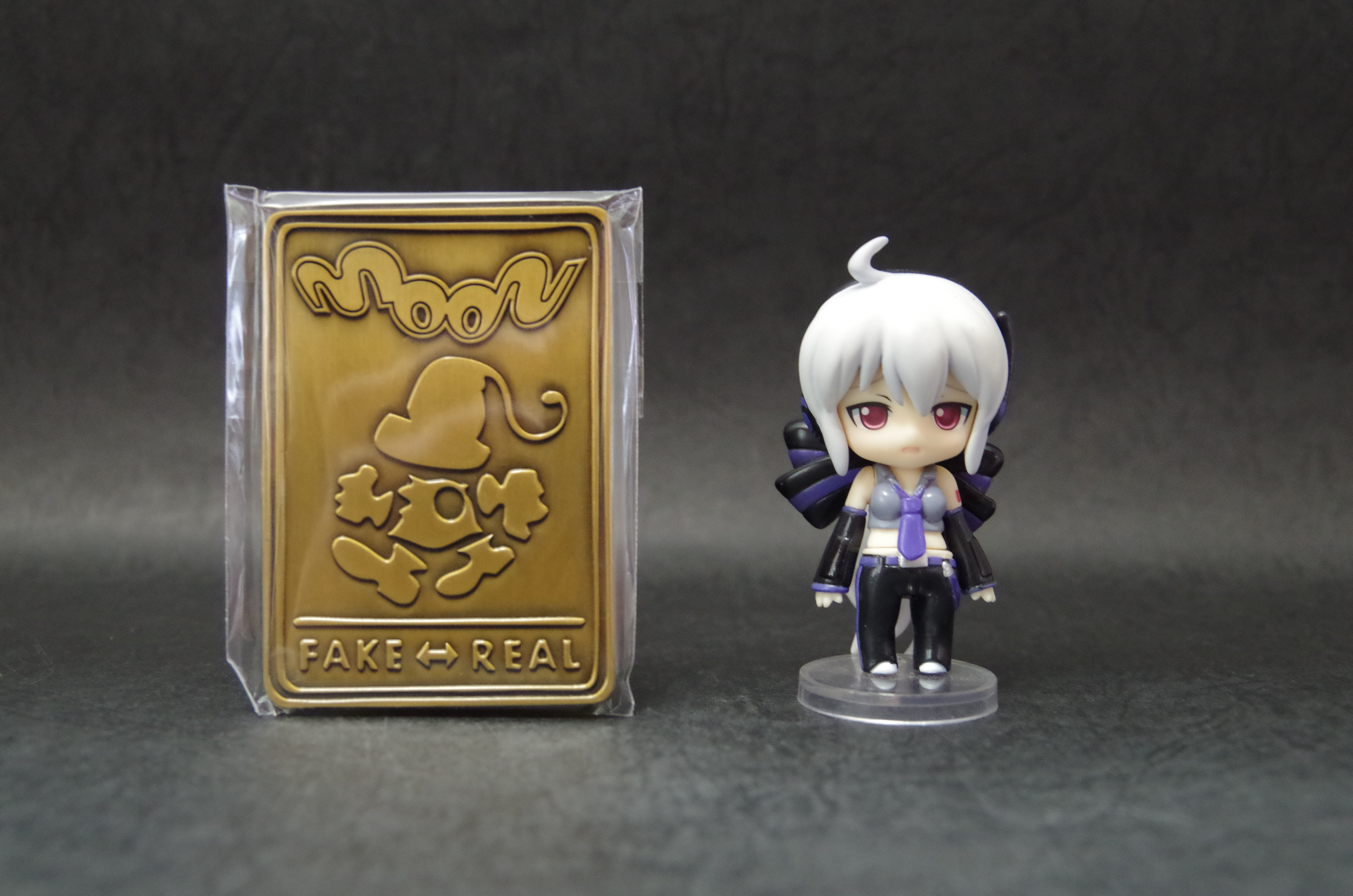 フィギュア 透明の少年 「moon」 購入 塗装済み完成品