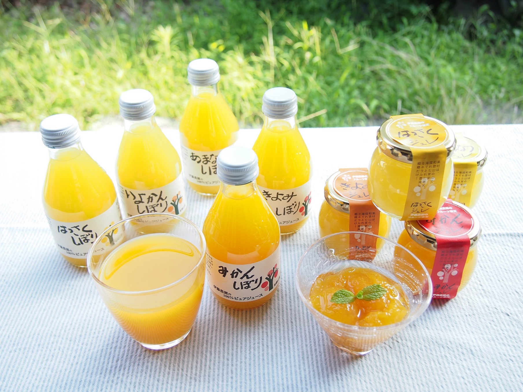 100％ピュアジュース＆ジュレギフトセット (9038-0003) - 剣縁｜剣道が