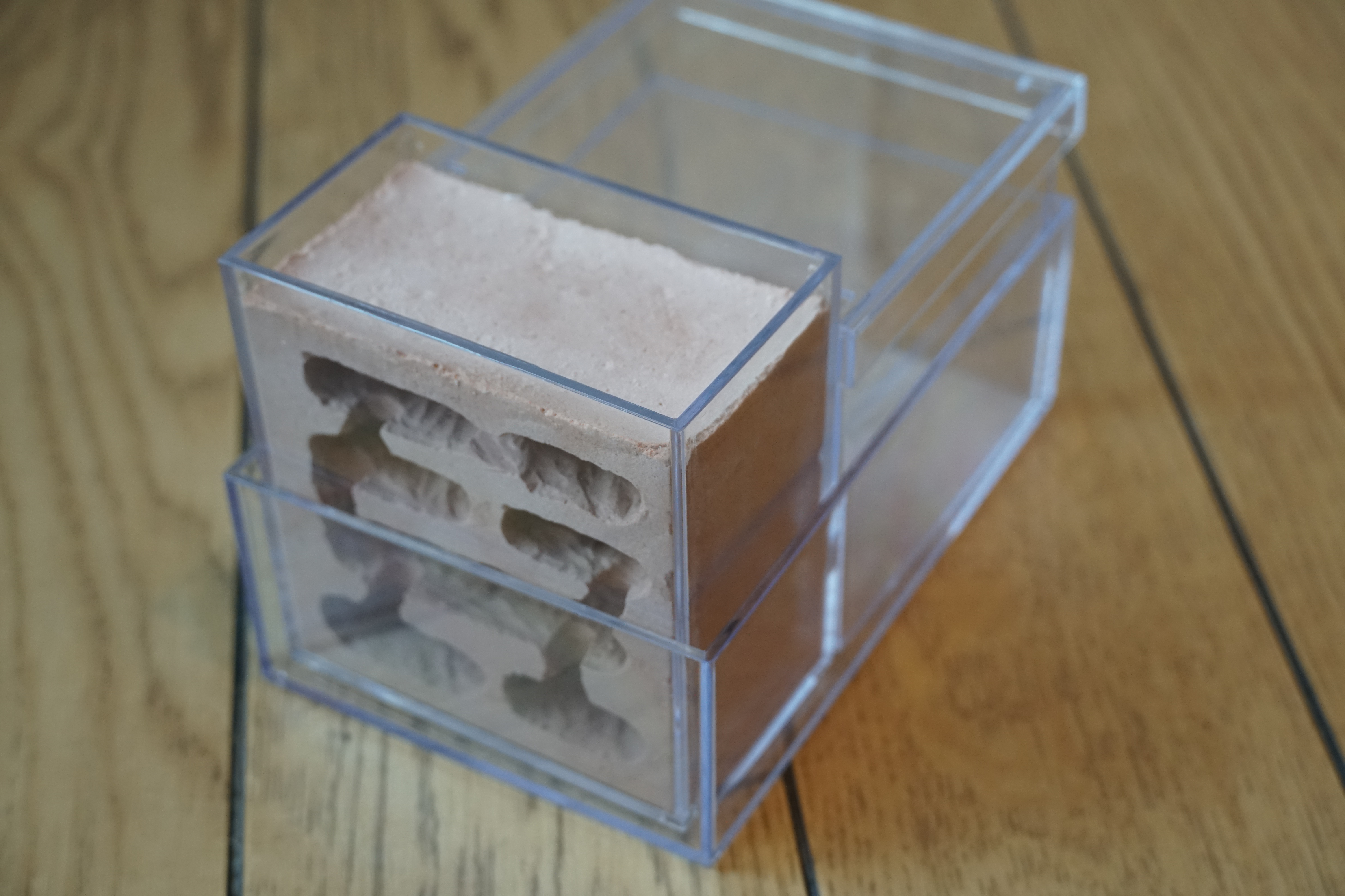 ANT-LIFE＃30］ケアリ用自作石膏巣作成！その作り方や材料は？｜むし