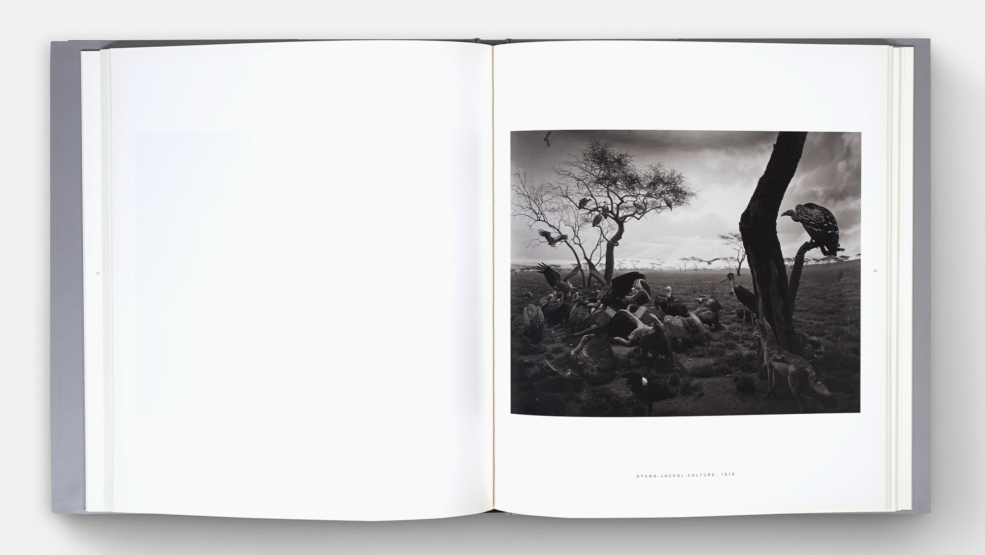 Hiroshi Sugimoto: Dioramas – MW Editions