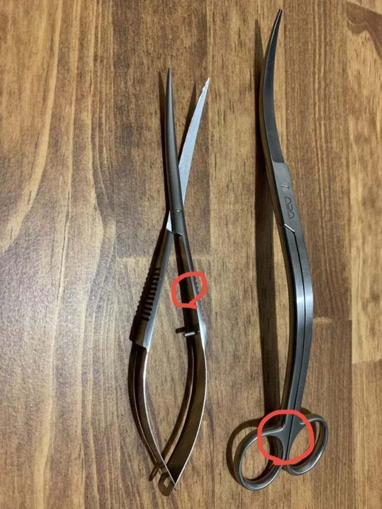 レビュー】ADA プロシザース・スプリング【アクアリウム】 - WAKAKUSA