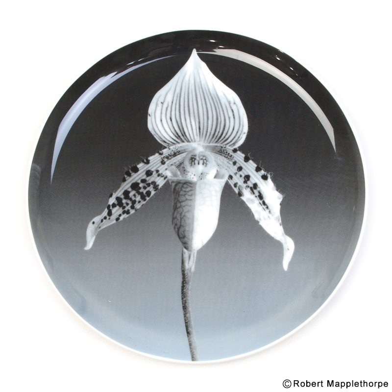 セクシーなお花はお好きですか？ロバート・メイプルソープ（Robert