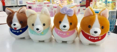 いち！にの！コーギーただいまが登場！ - UFO基ゃっ地ゃーエブリデイ