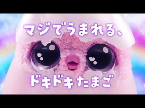 うまれて！ウーモ アライブ パフィコーン【種類ランダム】 5歳 6歳 7歳