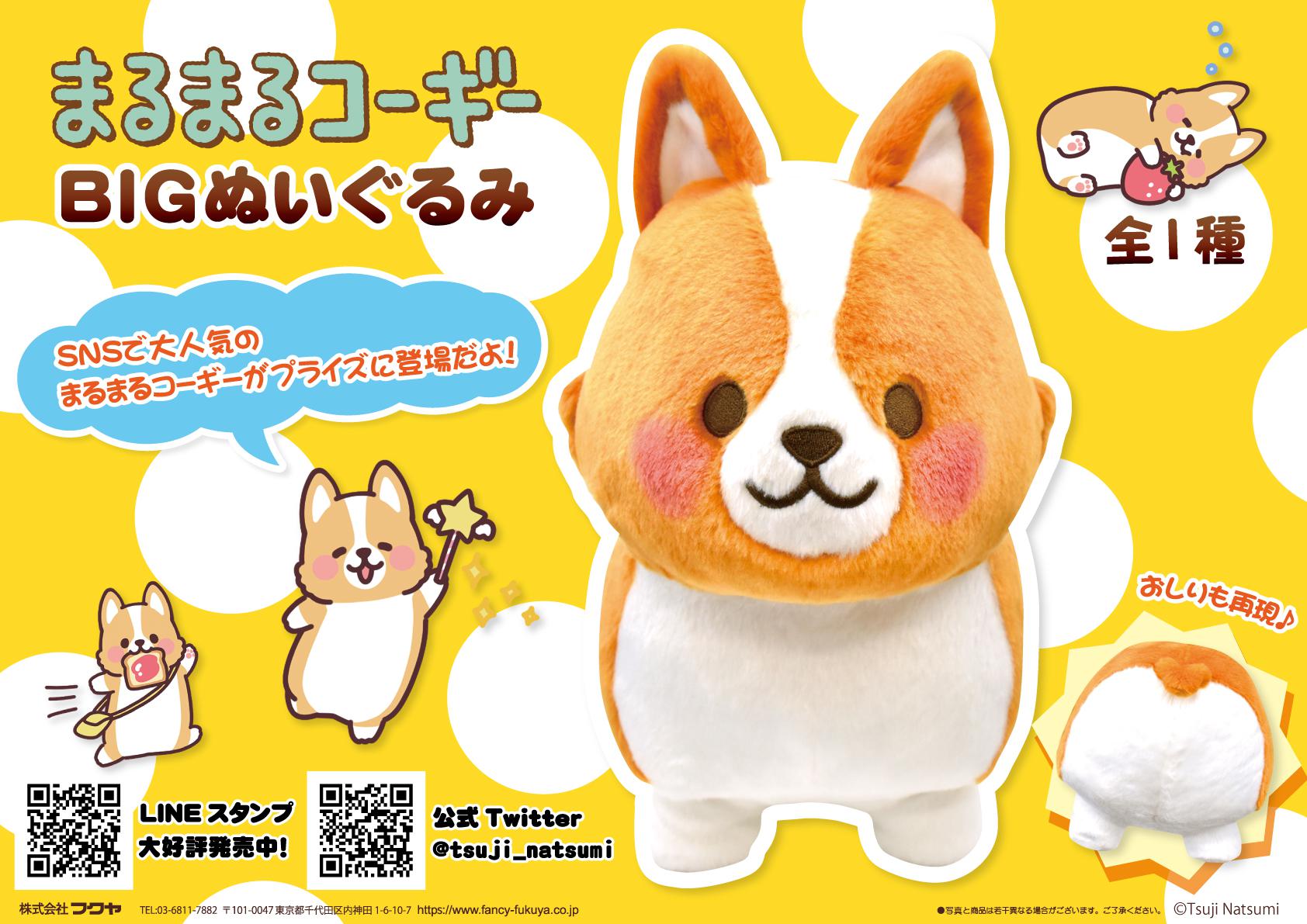 いち！にの！コーギー ただいま むぎちゃん JB いち！にの！コーギー