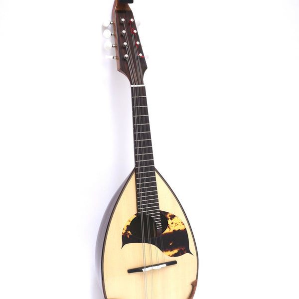 カメ】エレキマンドリン ローズウッド指板（ソリッドボディ） カメ