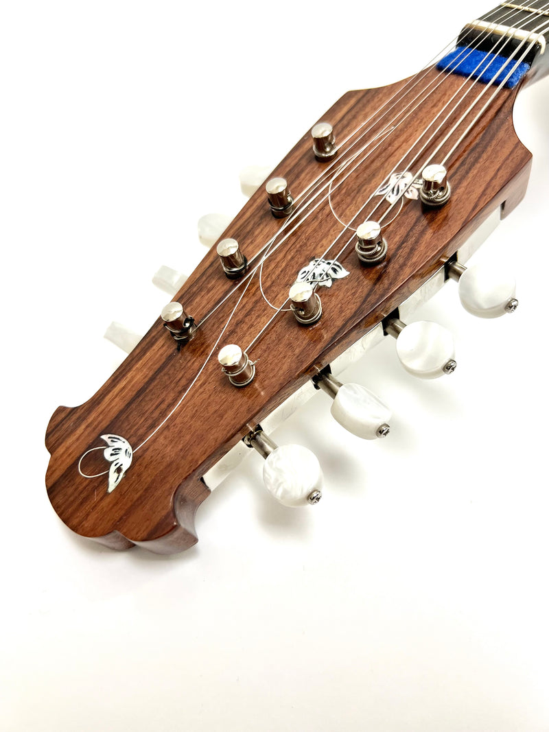 カラーチェマンドリンNo.15 | イケガク