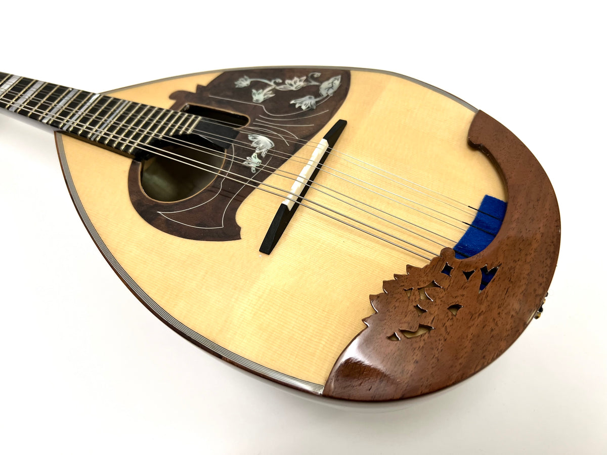 カラーチェマンドリンNo.15 | イケガク