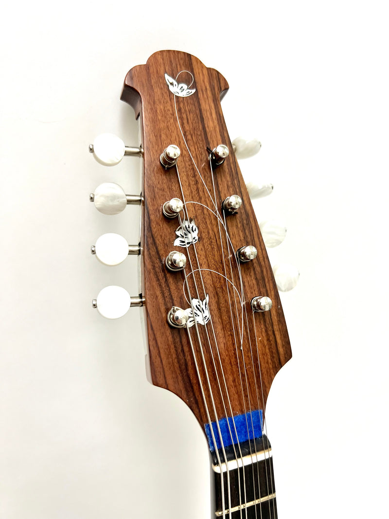 カラーチェマンドリンNo.15 | イケガク