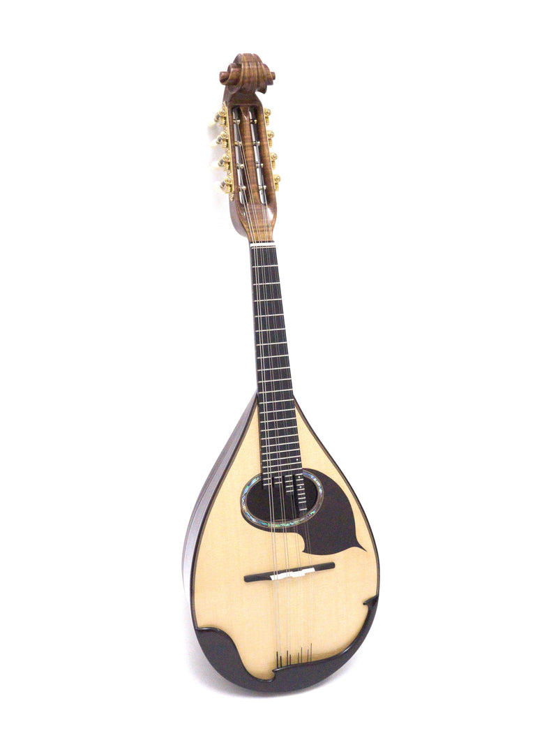 落合マンドリンS-SR | イケガク