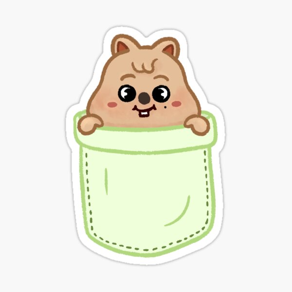 skzoo han quokka ハンクォッカ straykids ハン HAN QUOKKA | Stray