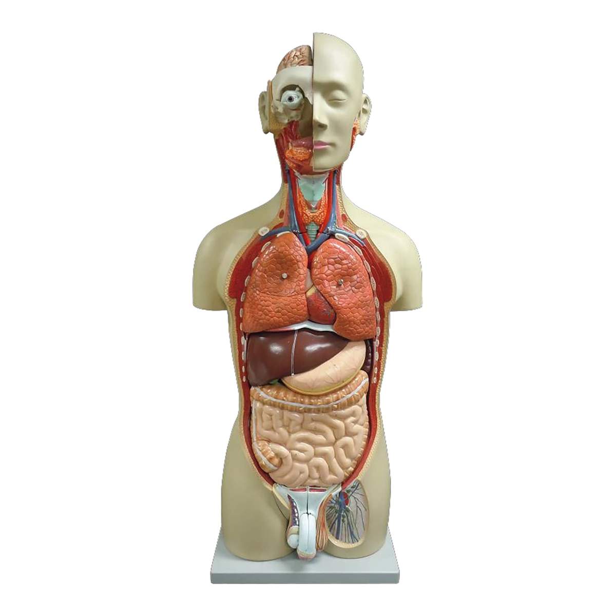 00319996_ex01.jpg?v=