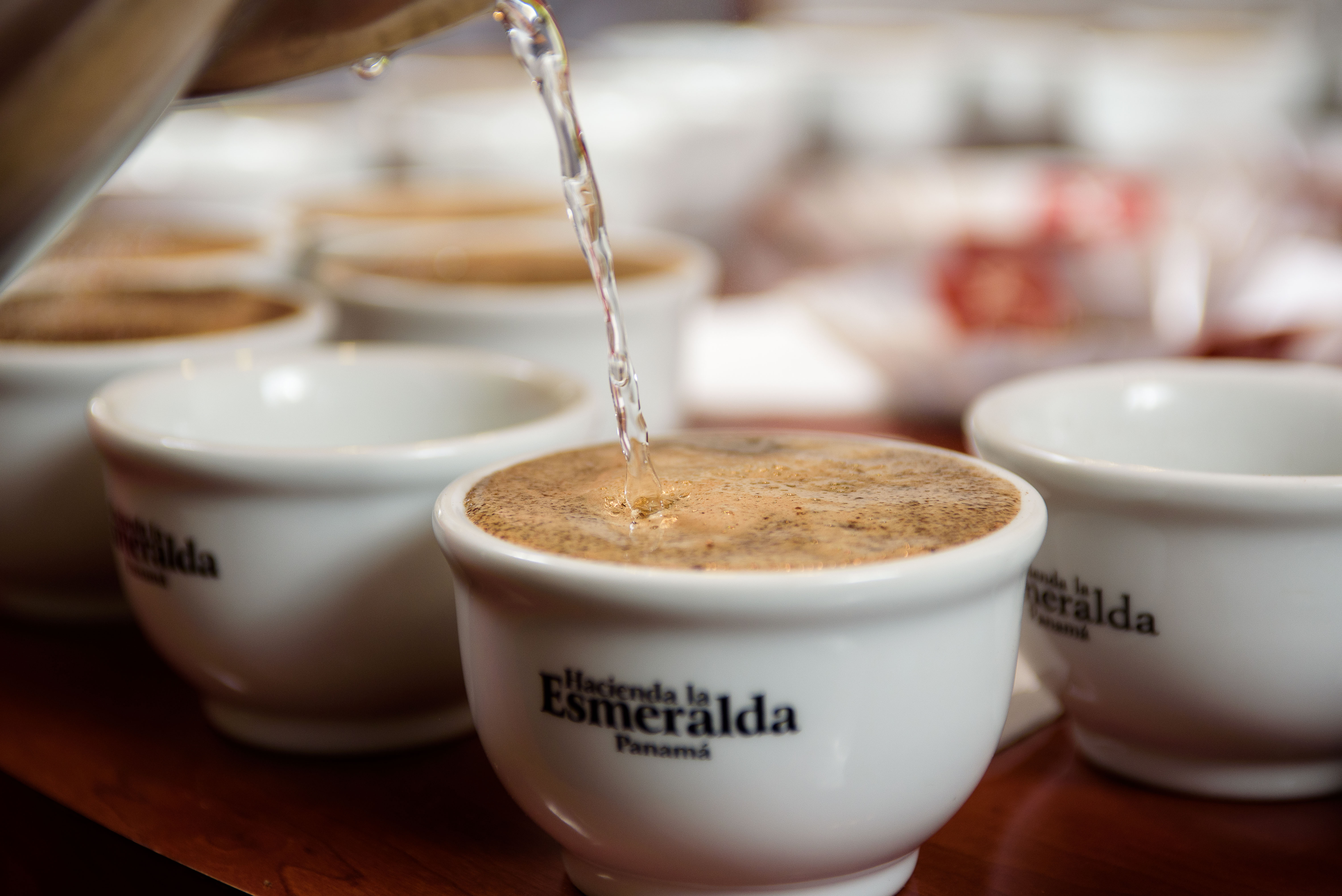 パナマ ゲイシャ エスメラルダ農園 プライベートコレクション ナチュラル