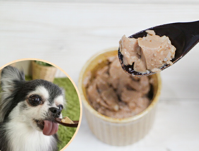 FORZA10 フォルツァディエイチ】インテスティナル サーモン アクティ