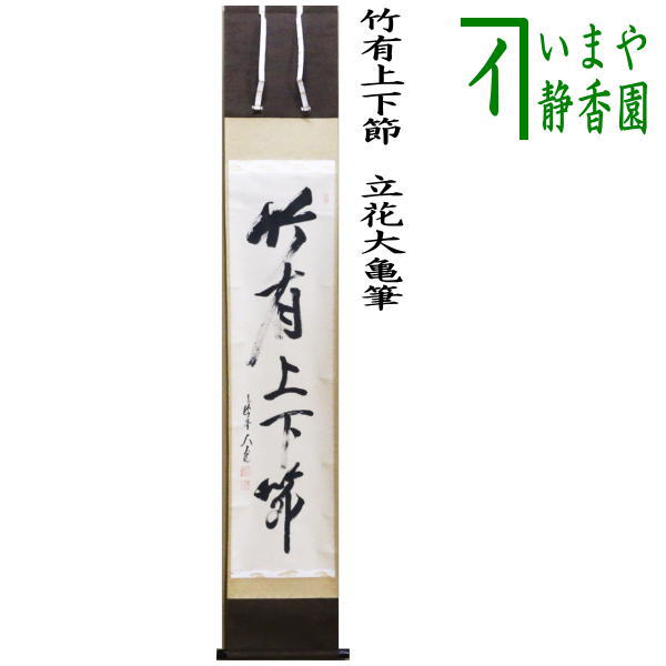 茶道具】大徳寺 紫野 立花大亀和尚筆 一行「桃花笑春風」掛軸 掛け物