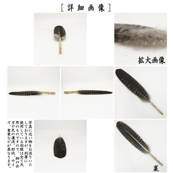 茶道具 羽箒 白鷹 左羽 炉用 新品 杉本鳳堂 炭手前 炭道具 B 未使用 茶道具 仕立師 杉本鳳堂 鷲 羽箒一双 左羽 炉用 右羽 風炉用 共