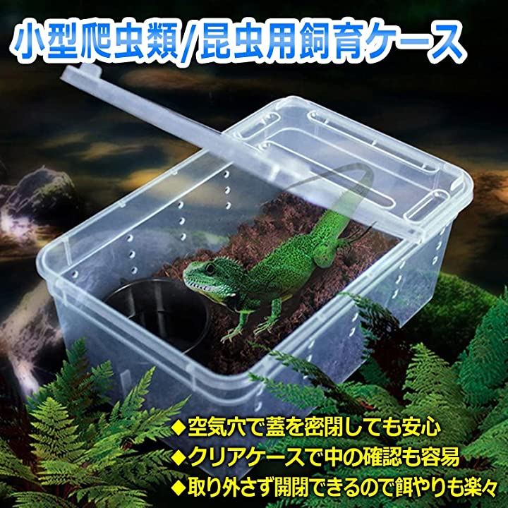温室・飼育ケース guukawa 飼育ケース」の人気商品一覧 | 安い商品を