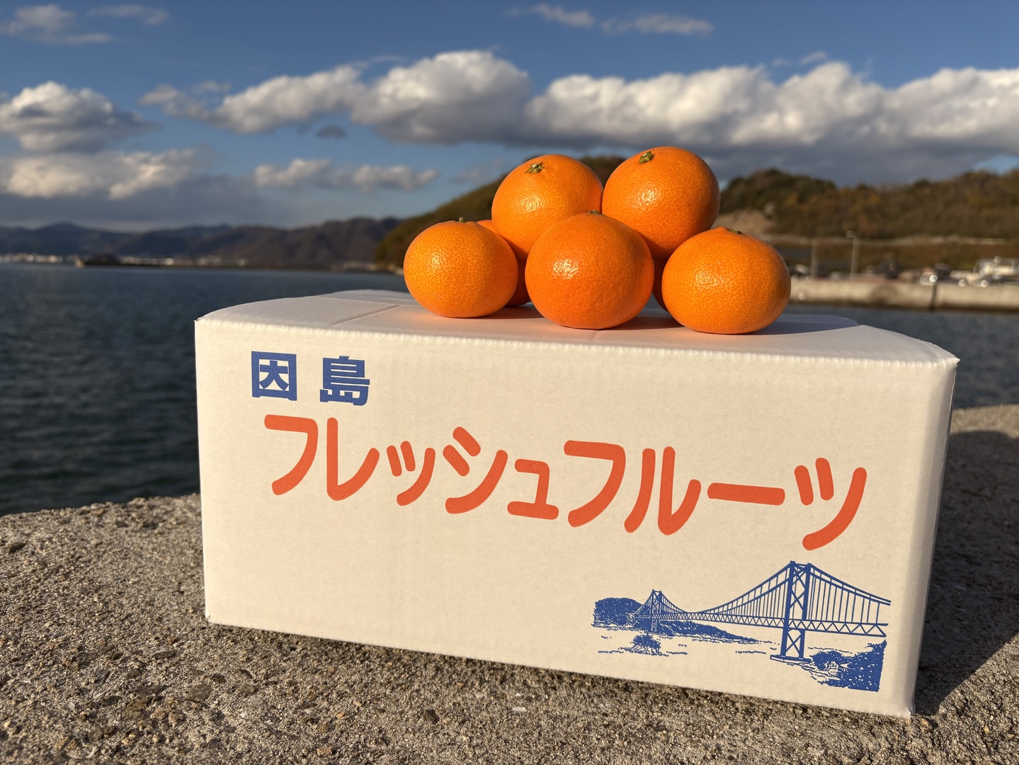 国産】みかんジュース 720ml (x12本)【無添加・果汁100%】：広島県産の