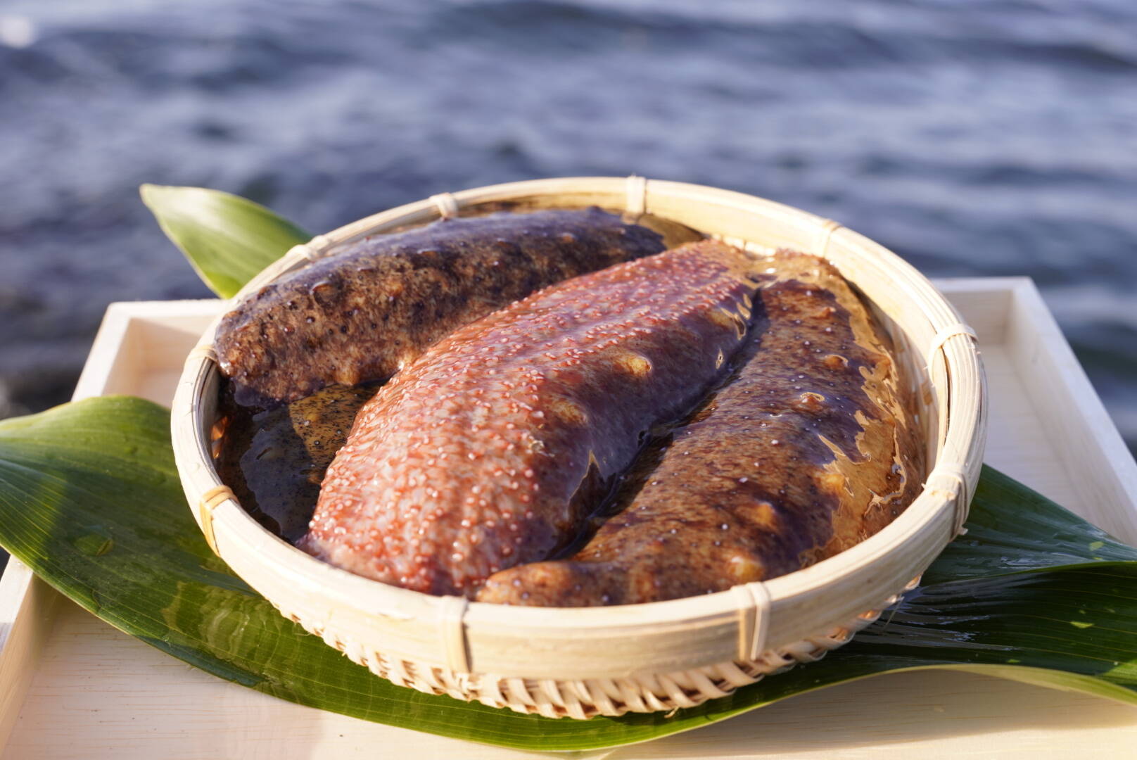 7e1abf5c3cd04b4cc1db440f0a7458