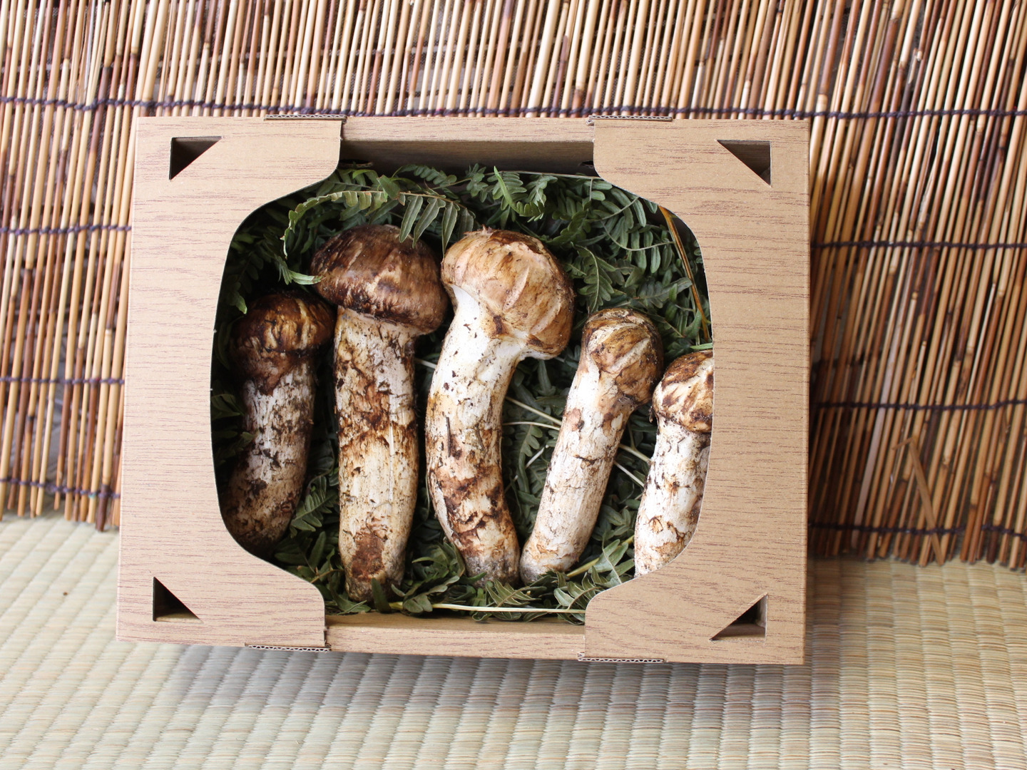 南信州産 天然松茸 185g 国産松茸 南信州産 425g 公式通販