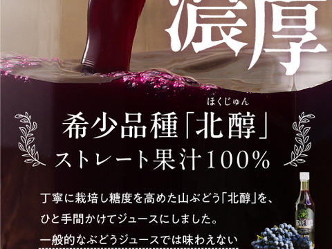 濃厚美味しい！上山・山ぶどう100％ジュース600ml×6本セット：山形県産