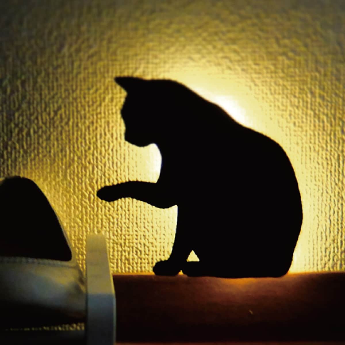 黒猫 照明ライト 8mm 2枚セット 4セット 黒猫 照明ライト 8mm 2枚