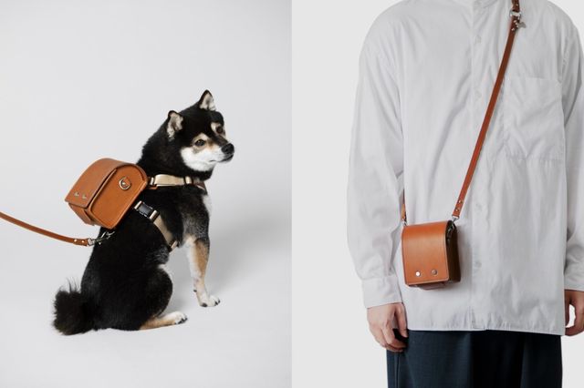 土屋鞄」製品の上質感を愛犬に！ブランド初のペットアイテム発売、渋谷
