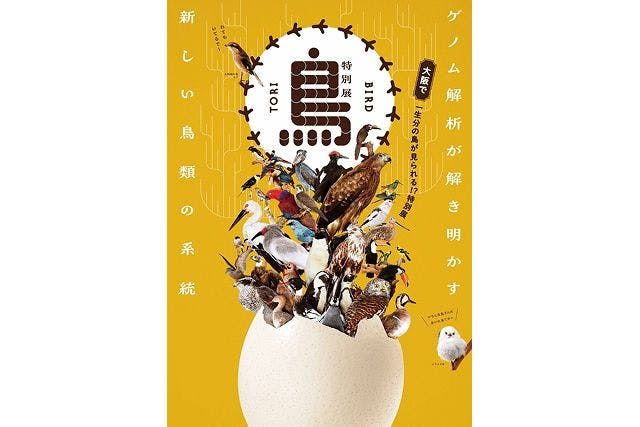 前売｜平日限定ペアチケット】特別展「鳥～ゲノム解析が解き明かす