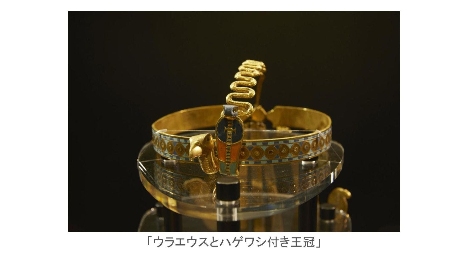 日付指定入場券】MYSTERY OF TUTANKHAMEN 体感型古代エジプト展