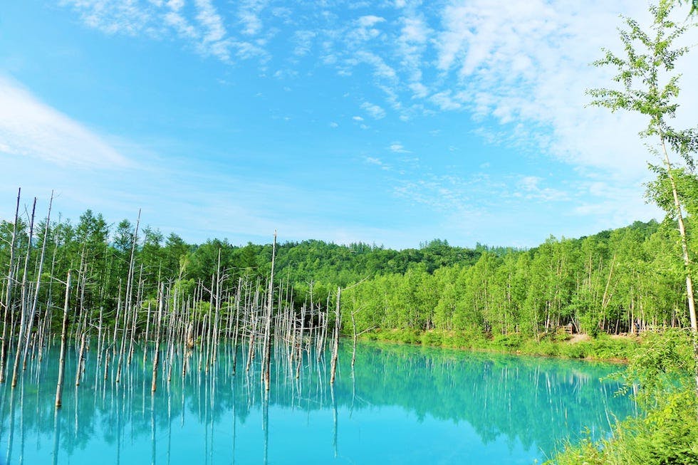天塩町越中獅子保存会【アソビュー！】