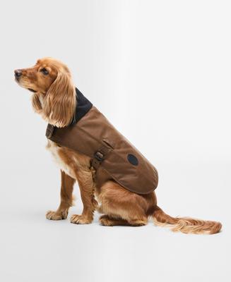 BARBOUR Wax Dog Coat, Tan, Medium - Chewy.com