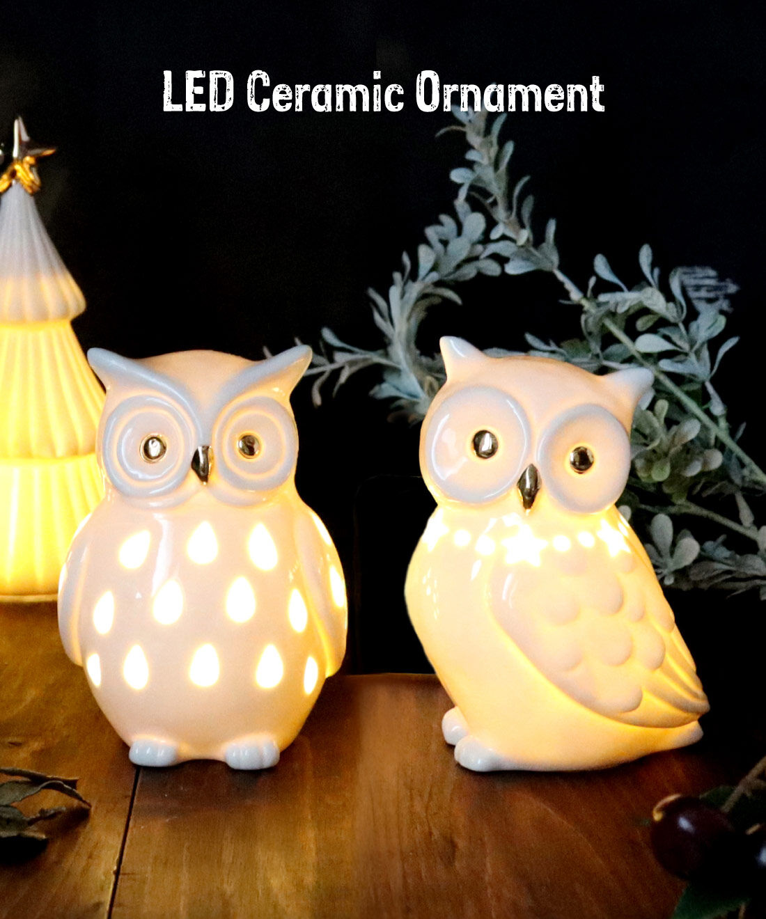 lumi ルミ バード owl フクロウ lumi ルミ バード owl フクロウ lumi