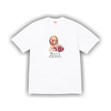 Buy Supreme Dust Tee 'White' - FW25T72 WHITE | GOAT