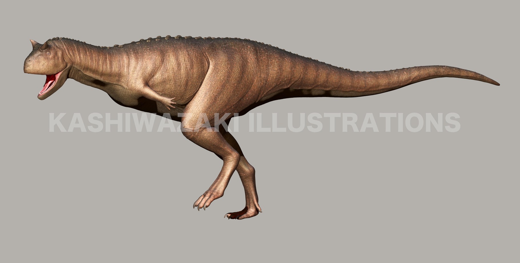 恐竜キング カルノタウルス 恐竜キング カルノタウルス アンペロ