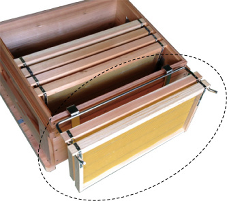 蜜蜂巣箱4段監視扉付・すむし対策底全面ステンレス網底 【公式通販】