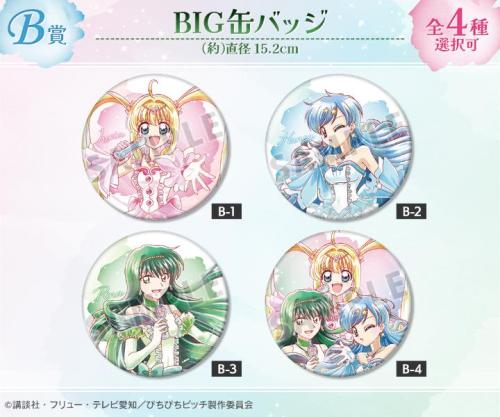 ぴちぴちピッチ くじ引き堂 A賞 D賞 るちあ 即購入可 ぴちぴちピッチ