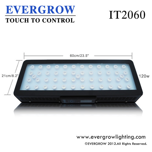 Evergrow-It2060-LED-Aquarium-
