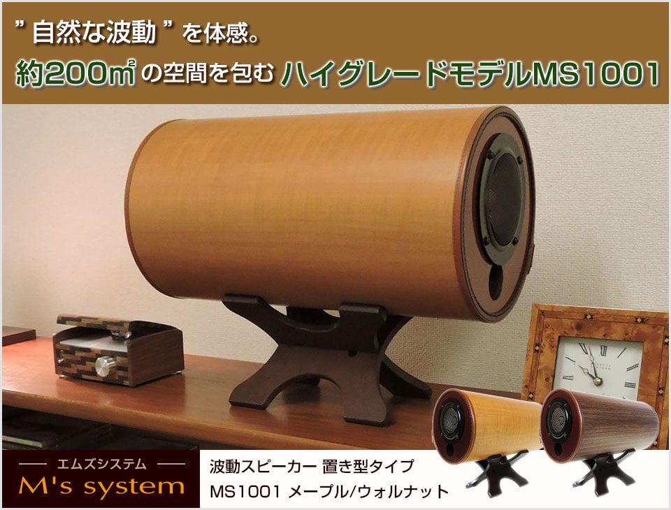 エムズシステム M's System 波動スピーカー スケルトン M'sシステム