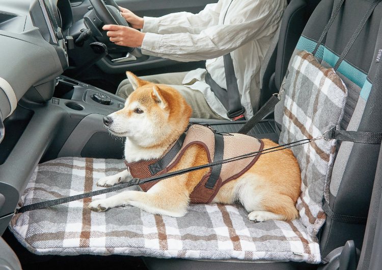 ペピィ PEPPY ソファボックス（車窓乗り出し防止ドライブボックス