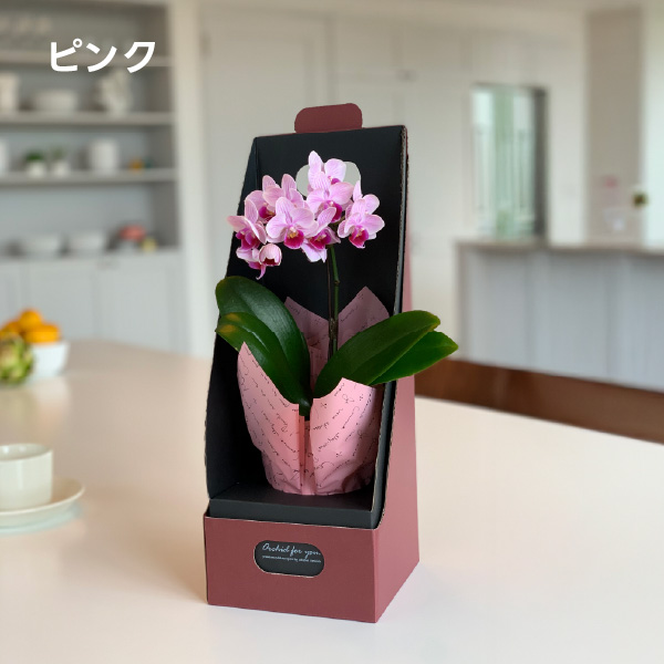 小石原焼 花入れ 杵型 刷毛目花入 箱無し 小石原焼 花入れ 杵型 刷毛目