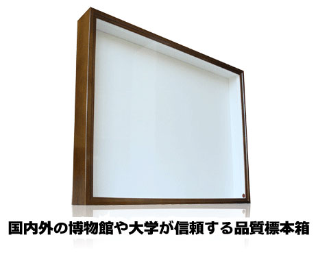 厚型大型標本箱 1箱 昆虫標本箱のおすすめ人気ランキング【2025年