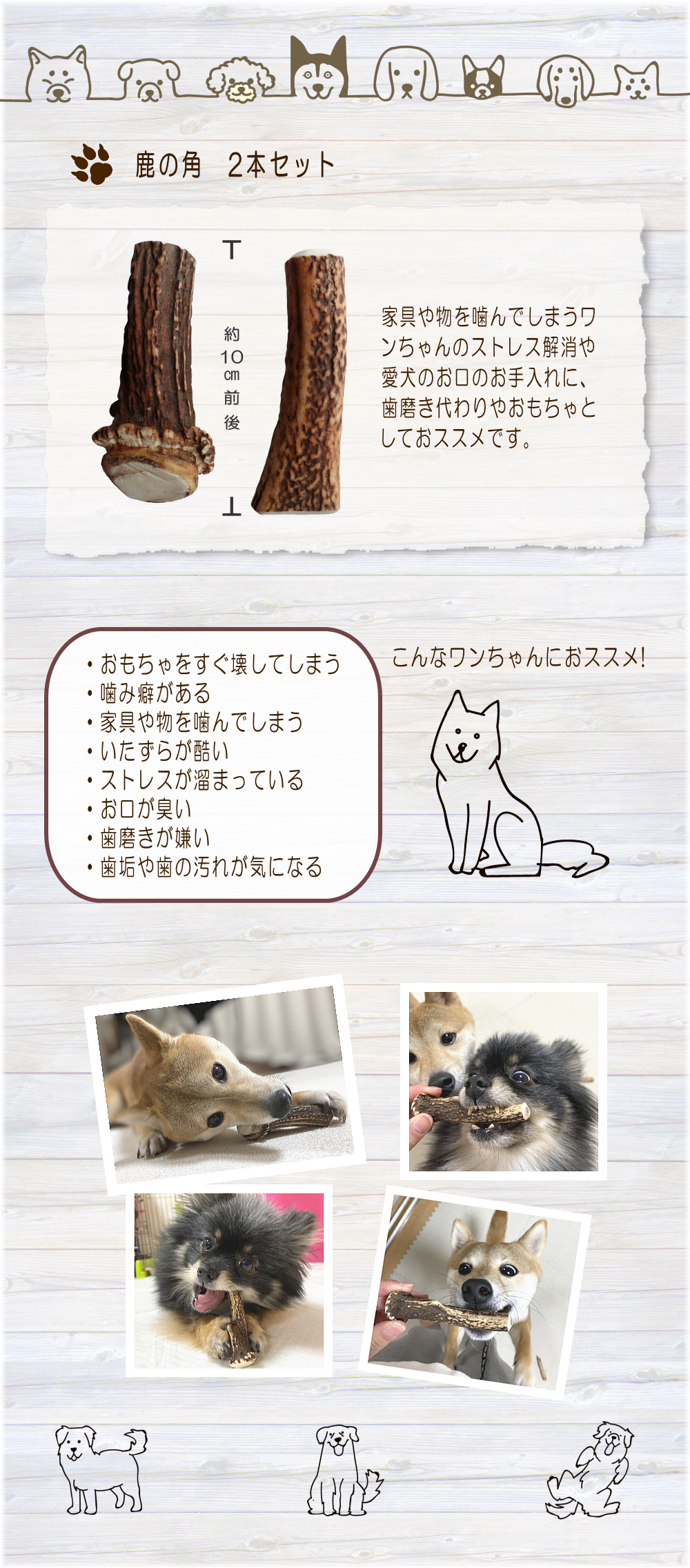 鹿の角 2本入り | 霧島ジビエ＜公式＞