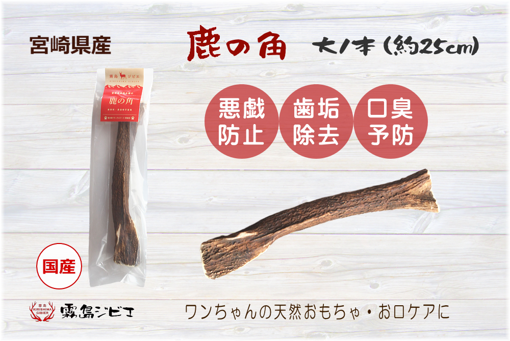 鹿の角 大1本入り | 霧島ジビエ＜公式＞