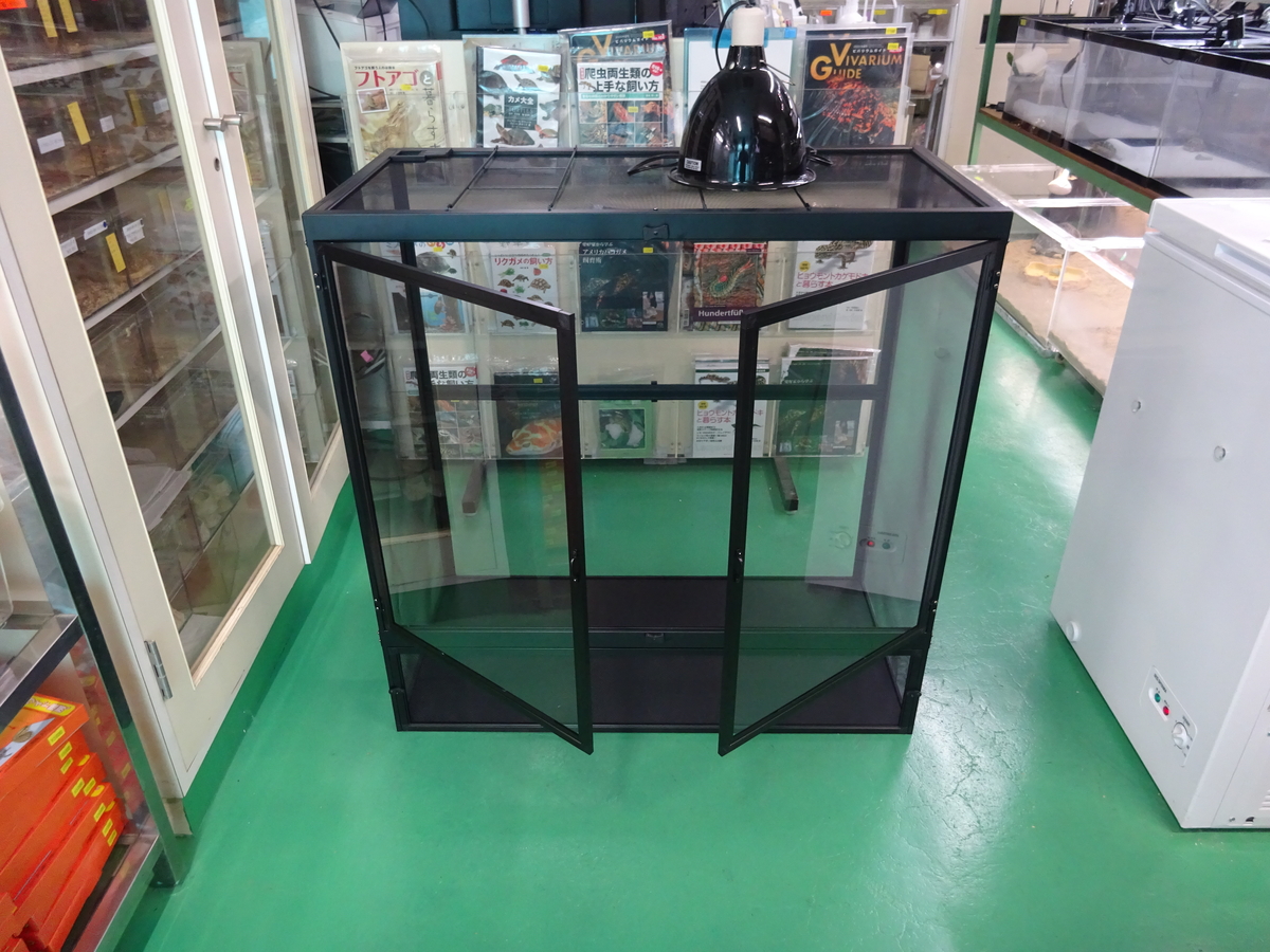 レプティブリーズ L ②