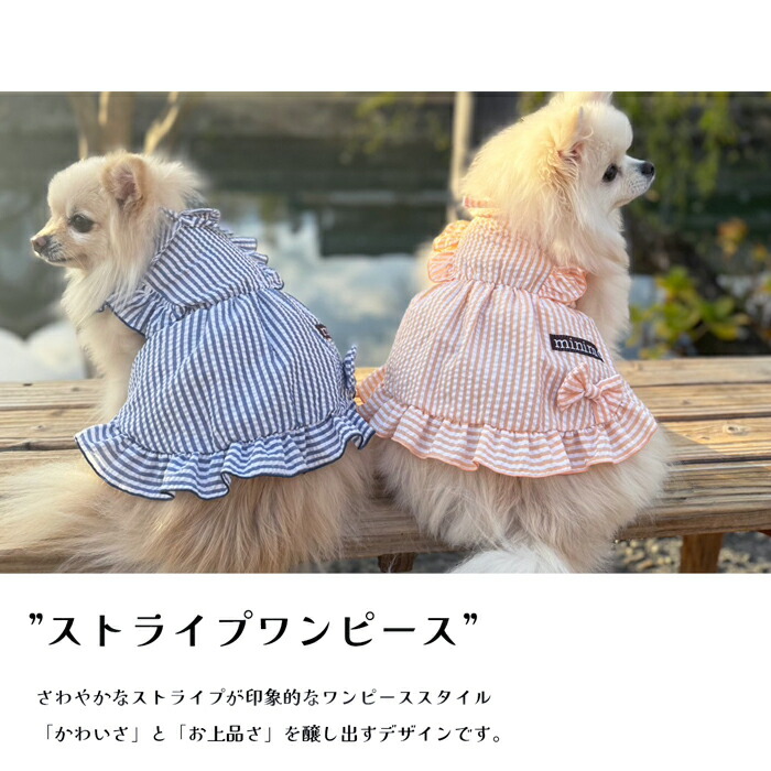 犬服 3S わんこの普段着 キャンディとリボン 犬服 3S わんこの普段着
