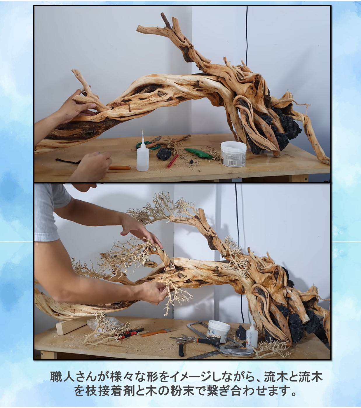 楽天市場】90cm水槽専用 深い茂る熱帯雨林のバニヤン流木 (水槽専用