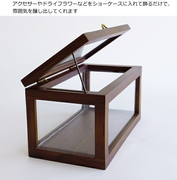ウッドフレーム ショーケース スモール Horn Please 志成販売
