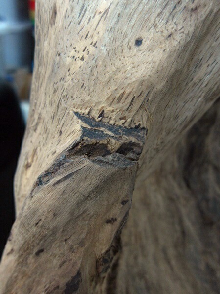 極上伽羅 天然沈香 香木 水沈み 訳あり 重さ:44.6g 楽天市場】約28kg