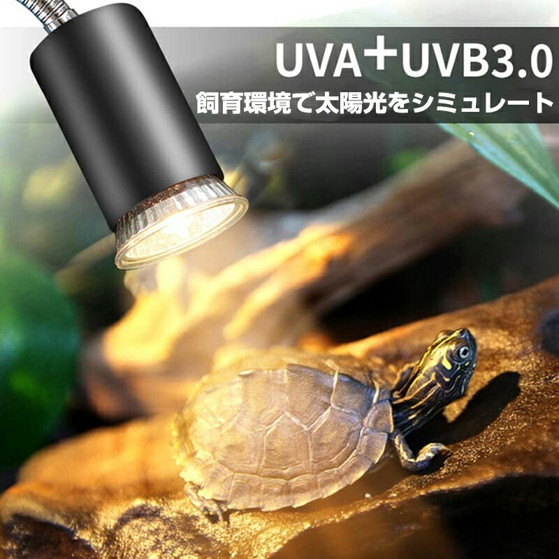 楽天市場】【☆レビューイベント開催中☆亀ライト 両生類用ライト